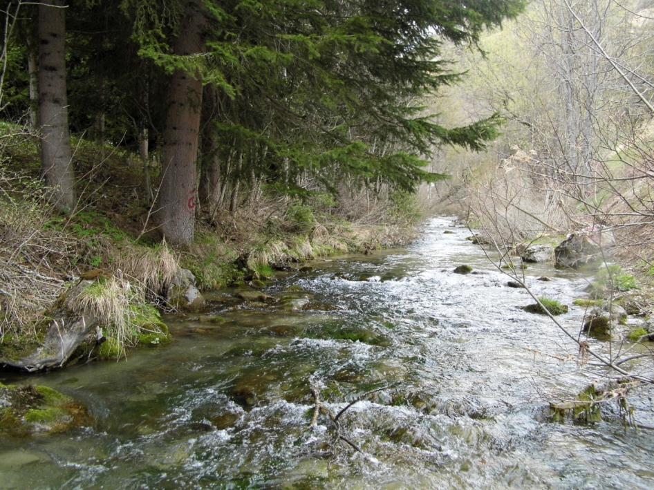 Data Svasi Saretto Monitoraggio chimico fisico ante operam e post operam Monitoraggio biologico macroinvertebrati Monitoraggio biologico-diatomee 29/04/14 ante operam 10/06/14 post operam Temperatura