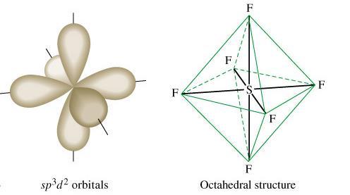 Gli orbitali ibridi sp 3 d 2 hanno la solita forma bilobata con uno dei due lobi molto piccolo e spesso non disegnato.