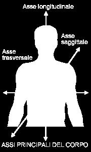 La porta si muove in un piano attorno ad un asse. Il piano (la porta) è determinato dall orientamento del perno nel cardine (asse). Gli assi principali del corpo sono: Figura 1.