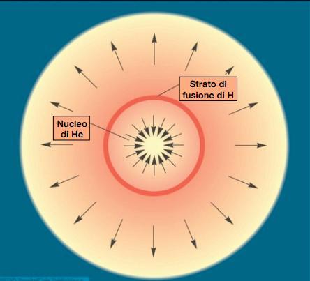 Evoluzione della Gigante Rossa Il nucleo di He continua a contrarsi e a riscaldarsi. Quando TC raggiunge ~10^8K, comincia la fusione di He.