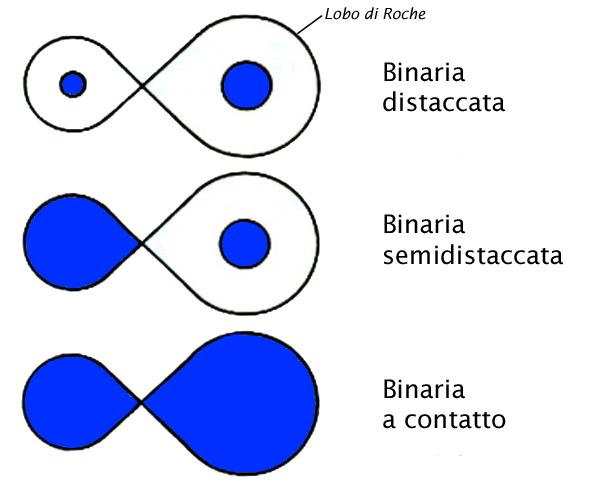 LE STELLE DOPPIE Le stelle binarie sono di 3 tipi: Binaria distaccata: Due stelle poste ciascuna all interno
