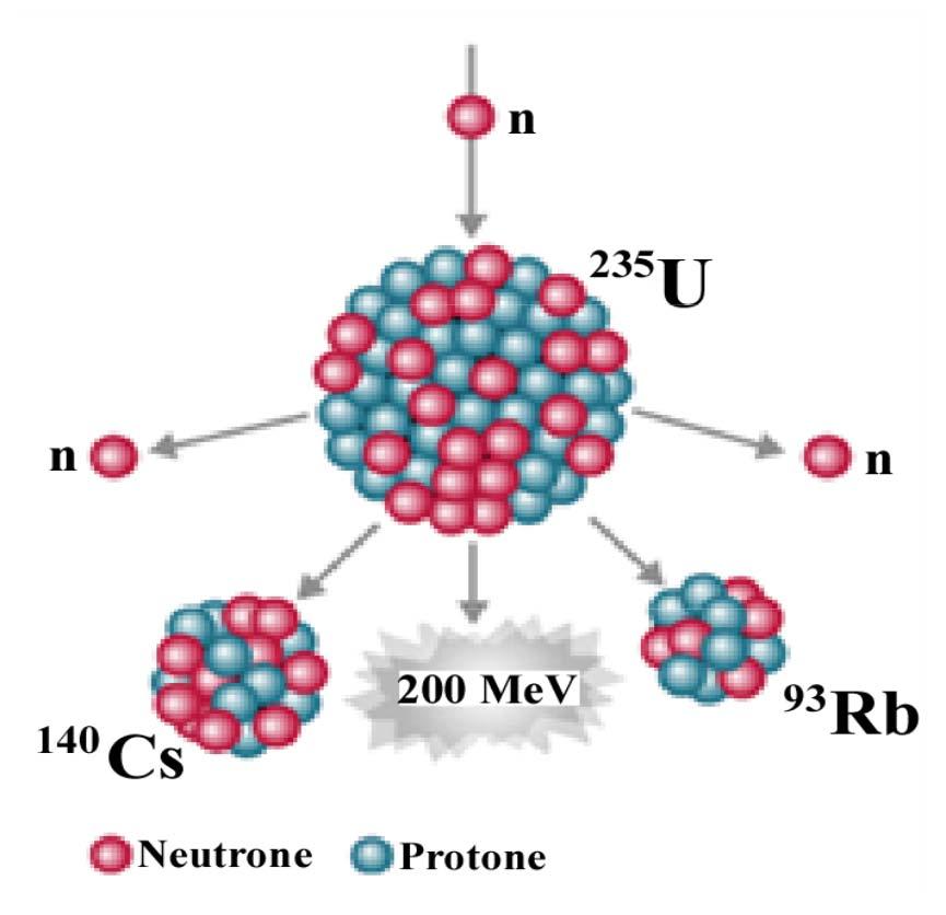 La fissione nucleare 235 U + n 93 Rb + 140 Cs + 3n In una reazione di fissione nucleare partendo dal nucleo di un atomo pesante si costruiscono nuclei di atomi più leggeri ed il difetto di massa