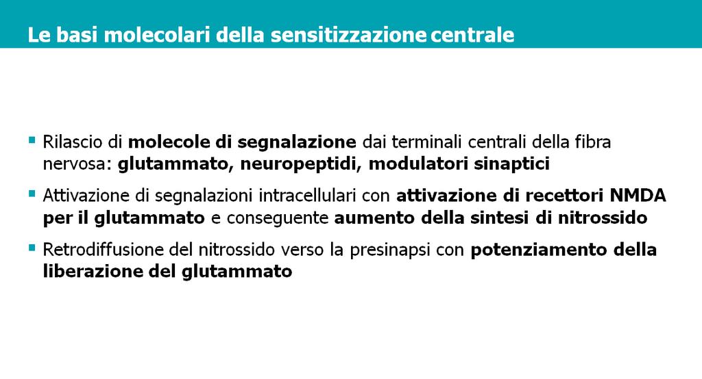 Alla base della sensitizzazione centrale si può evidenziare un meccanismo per cui i terminali centrali della fibra che conduce il dolore rilasciano una serie di molecole di segnalazione, tra cui il