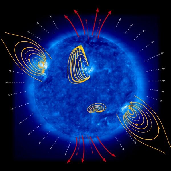 Il Campo Magnetico del Sole Il Sole è interessato da forze magnetiche molto intense.