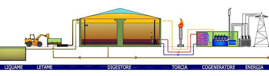 1. PREMESSA L impianto BOVIGAS (Figura 01) è stato studiato per utilizzare il potenziale energetico di reflui zootecnici e biomasse vegetali con un processo di digestione anaerobica per la produzione