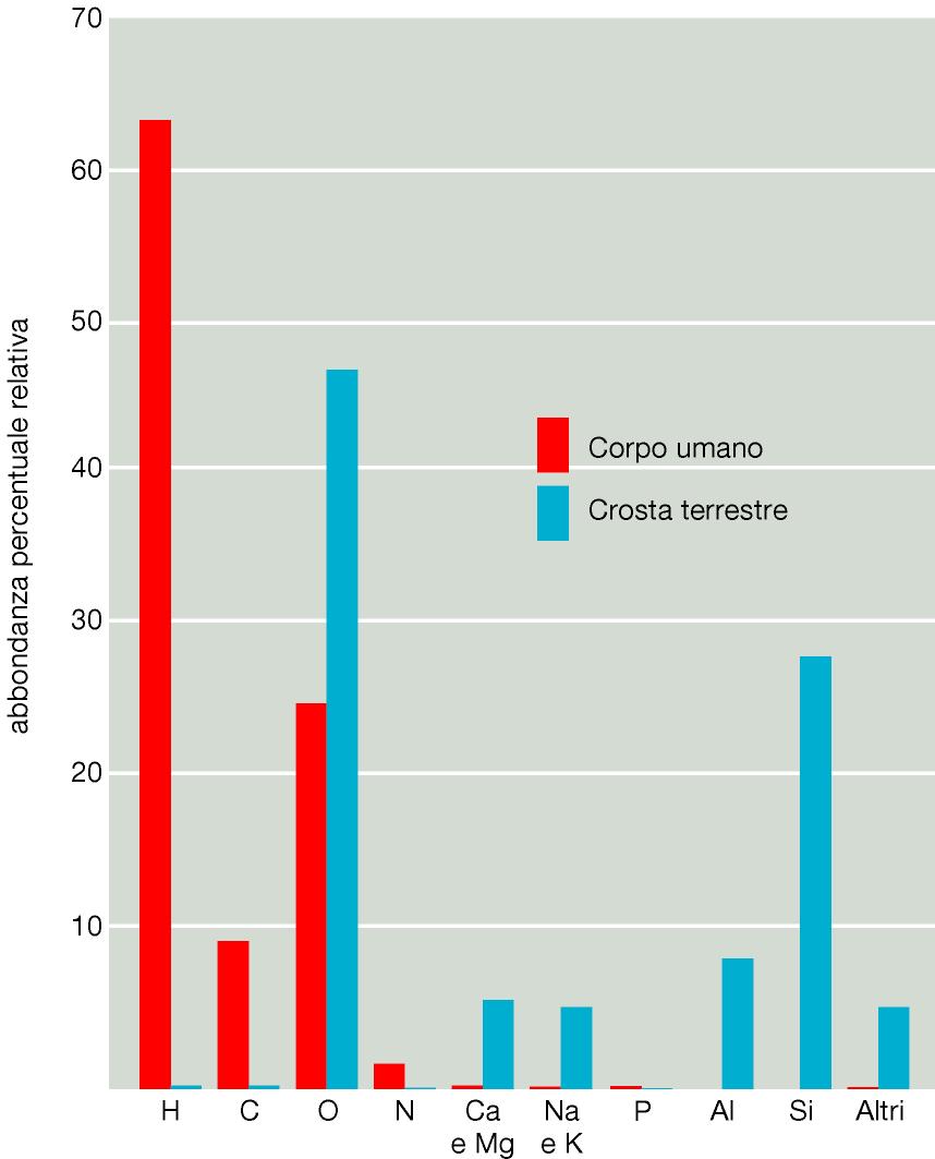 C, H, N ed O costituiscono quasi il 99% del peso di una cellula Il 70 % della massa di una cellula è costituito da acqua Quasi tutto il resto delle molecole è dato da composti del carbonio (chimica