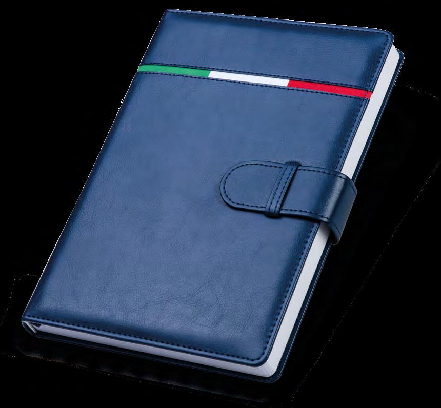 INTERNO GIORNALIERO S&D ABBINATI PB289 AGENDA GIORNALIERA 324