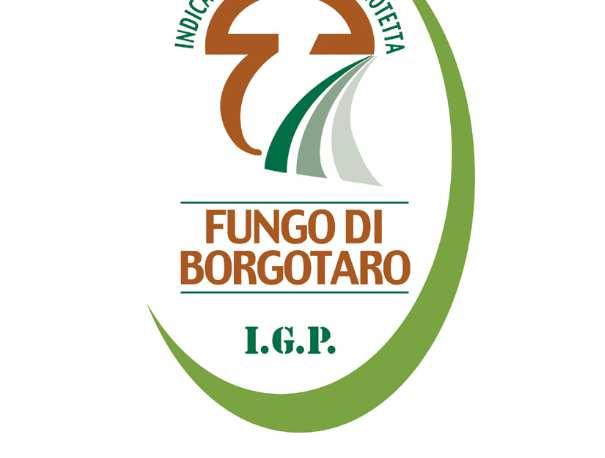 FUNGO DI BORGOTARO IGP Luigi Rinaldi Borgo Val di Taro (PR) - 2017