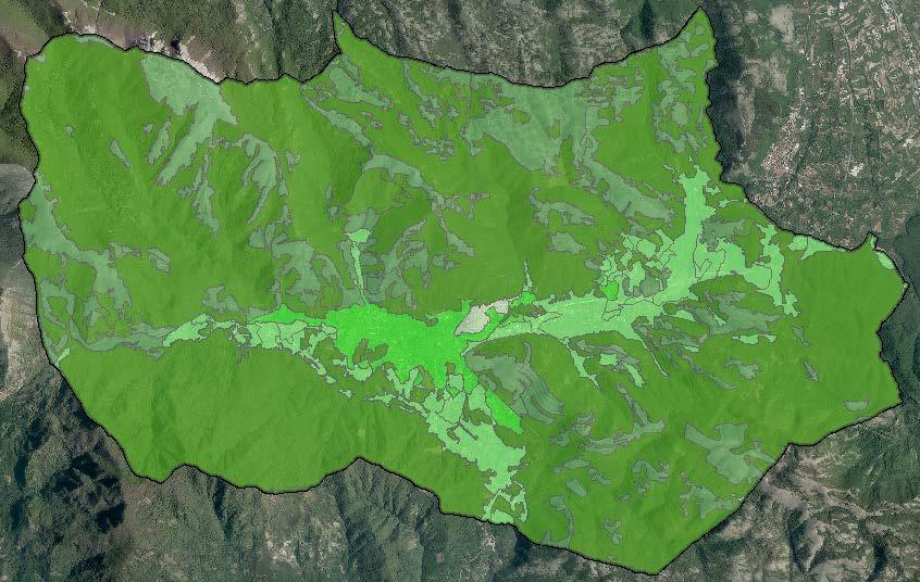 CARTA DELLE RISORSE NATURALISTICHE ED AGRO FORESTALI Fonte: Provincia di Salerno La cartografia relativa alle Risorse naturalistiche ed agro forestali è realizzata allo scopo di illustrare la