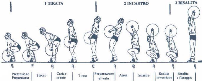 I sollevamenti olimpici presentano diverse analogie con il salto verticale.