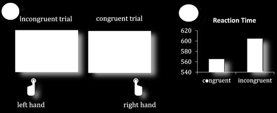 OSSERVAZIONI: - I soggetti rispondono più velocemente per le cifre da 1 a 4 quando devono premere il bottone con la mano
