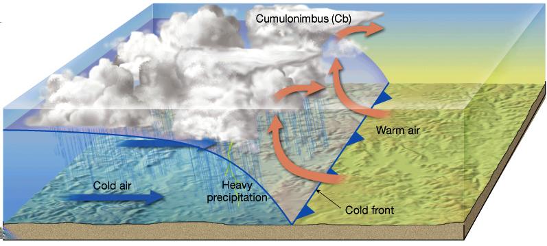 Struttura del Fronte Freddo Zona di separazione tra aria più calda, umida ed instabile scalzata da aria più fredda, secca e stabile brusco calo della