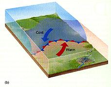 Formazione di Il Fronte è quella linea su cui si