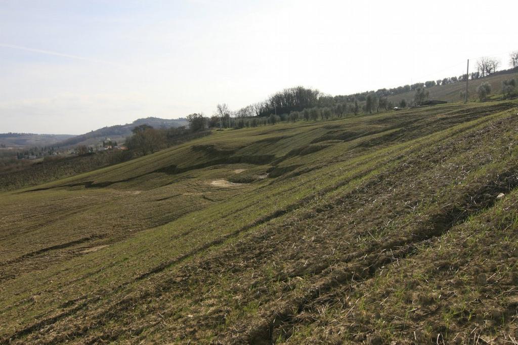 Autorità di Bacino del Fiume Arno Via dei Servi 15-50122