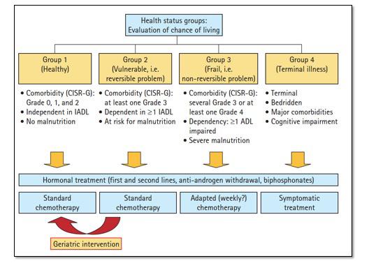 Fig 1: Esempio di algoritmo decisionale per il trattamento di pazienti anziani con malattia metastatica [11] Sulla base delle linee d indirizzo suggerite dalle comunità scientifiche internazionali e