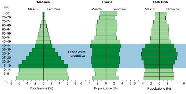 Struttura delle popolazioni