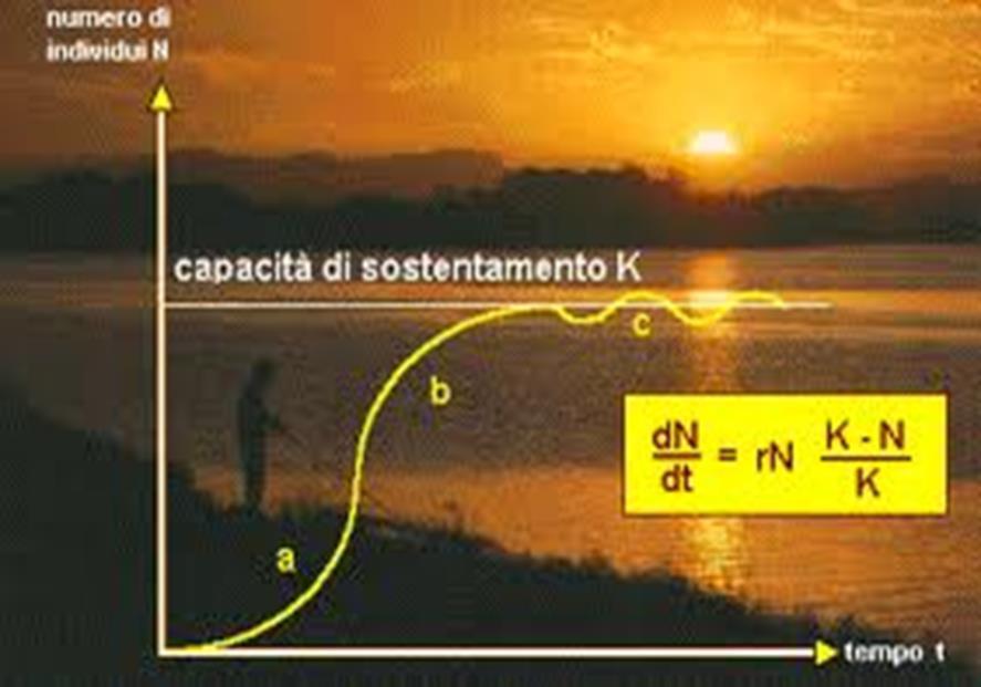 Tasso effettivo di accrescimento delle popolazioni [R]: strategie riproduttive r e K Specie r-selezionate: ambienti instabili, capacità di riprodursi velocemente, grandi perdite