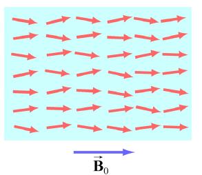 momento di dipolo magnetico intrinseco Ferromagnetismo orientazione parziale