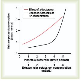 Note that small changes in potassium concentration cause large changes in aldosterone concentration Effect of plasma aldosterone concentration (red line) and