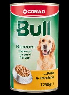 Bull Bocconi con Manzo