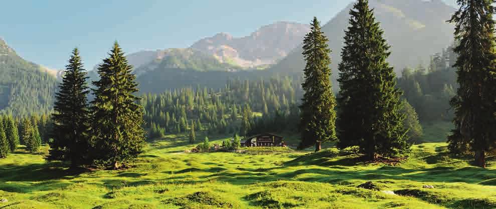 10 SUGGESTIONS DE RANDONNEES LEUTASCH LE ROYAUME DES ALPAGES - LA VALLEE DE GAISTAL La vallée de Gaistal est un de ces lieux rares où le paysage est encore façonné par la beauté d une nature intacte.