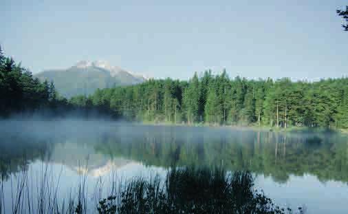 14 SUGGESTIONS DE RANDONNEES MÖSERN-BUCHEN CHEMIN DE LA PAIX Parcours: Mösern/parking de l alpage de Seewaldalm -