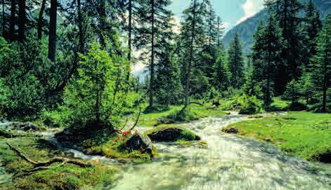 23 RANDONNEE A LA SOURCE DE L ISAR ET AU KASTENALM / CHEMIN N 224