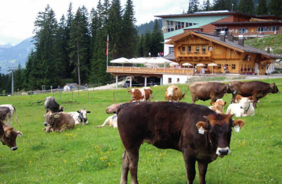 26 EHRWALDER ALM VALLE DI GAISTAL / VALLEÉ DE GAISTAL NR: 3 Gerhard Rauch +43 (0) 5673 212 55 www.ehrwalder-alm.