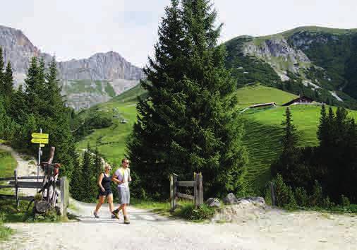 I cinque parcheggi tra la frazione di Klamm e la fine della strada sul fiume Salzbach rappresentano il punto di partenza strategico per escursioni e tour in mountain bike, facili o