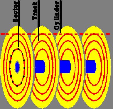 Le superfici sono organizzate in cerchi concentrici (tracce) e in spicchi di ugual grandezza (settori).