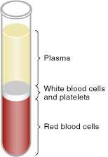 NIPT method Tutte le metodiche NIPT iniziano con l estrazione del Dna libero cellulare dal plasma