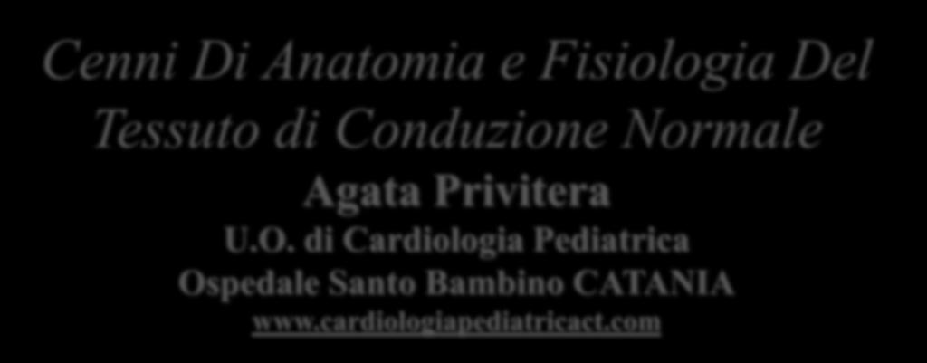 Cenni Di Anatomia e Fisiologia Del Tessuto di Conduzione Normale Agata Privitera U.O.