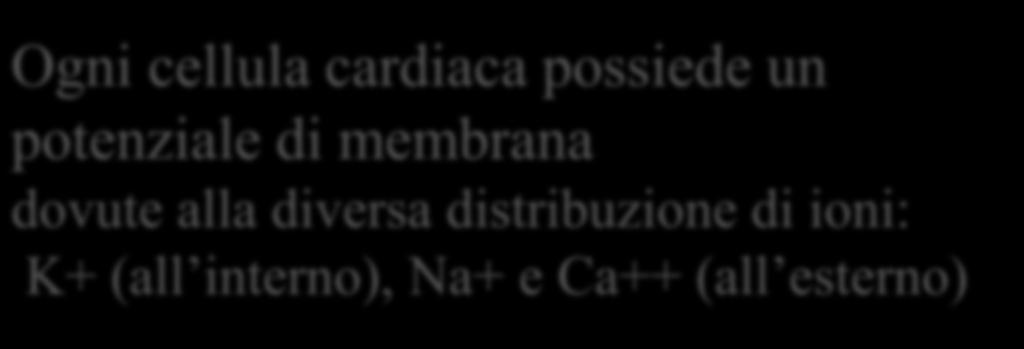 deputate all attività meccanica Miocardio