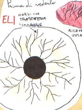 cuore ELI: L occhio ha una