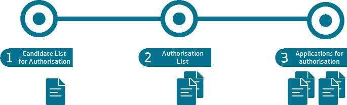 Autorizzazione Titolo VII del REACh La procedura prevede numerose fasi e ciascuna include una consultazione pubblica 1.