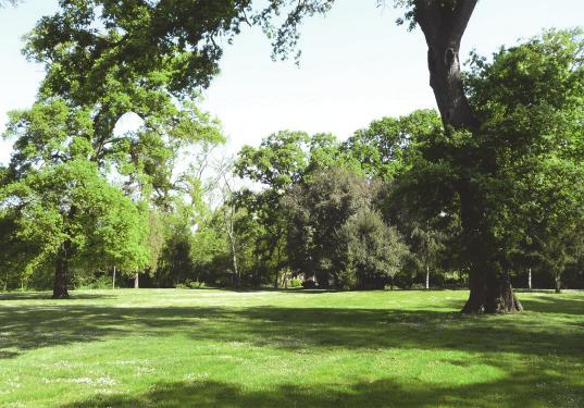 Nel parco, visitabile solo in rare occasioni e dopo accordi con la proprietà, si trovano delle sequoie (alberi importati in Europa dall America a metà 800) e alcune querce secolari, sintesi della