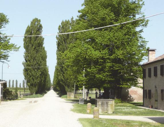 Infatti Parco Pavanell, sito all interno della tenuta di Zenzalino, a circa 3 Km dal centro di Copparo, rappresenta una testimonianza di come doveva apparire il territorio della più grande delle