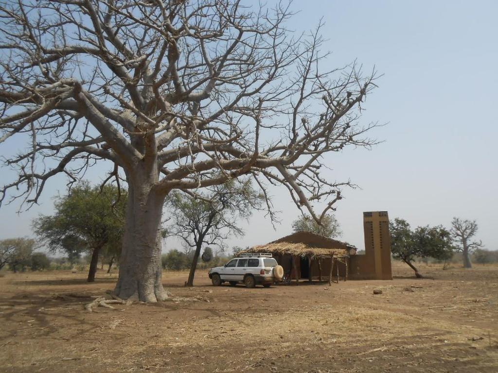 Si trova poco lontano da un maestoso baobab la Chiesa Cattolica di Pikieko.