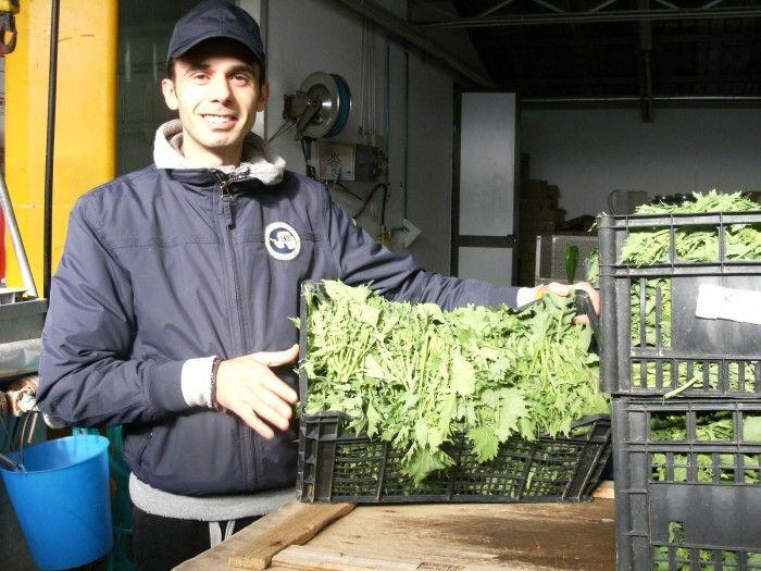 Paestum, Maida di Francesco Vastola e il buono da conservare Fabrizio Vastola Il progresso ed il decollo socio-economico di un territorio passa anche, e soprattutto, attraverso l unione di tutte le