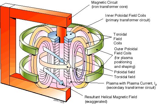 In un toro le particelle sono perse per una lenta deriva verso le pareti Il Tokamak In un tokamak il confinamento viene dato da