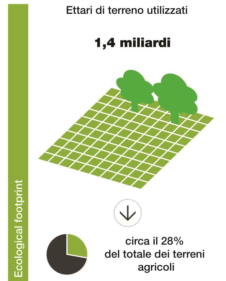 Quanto costa lo spreco alimentare Suolo L estensione di suolo agricolo necessario per produrre il cibo sprecato ogni
