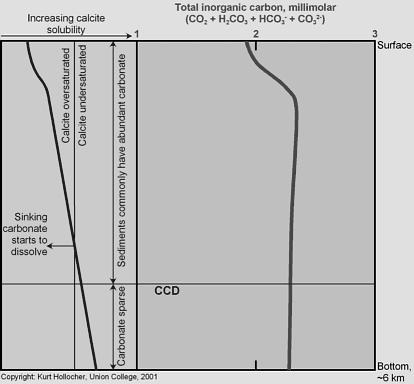 ROCCE CARBONATICHE I calcari sono rocce carbonatiche, generate principalmente a causa di processi biologici e biochimici.