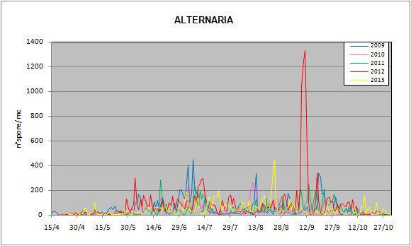 SPORE FUNGINE I miceti producono spore alcune delle quali sono responsabili di manifestazioni respiratorie allergiche.