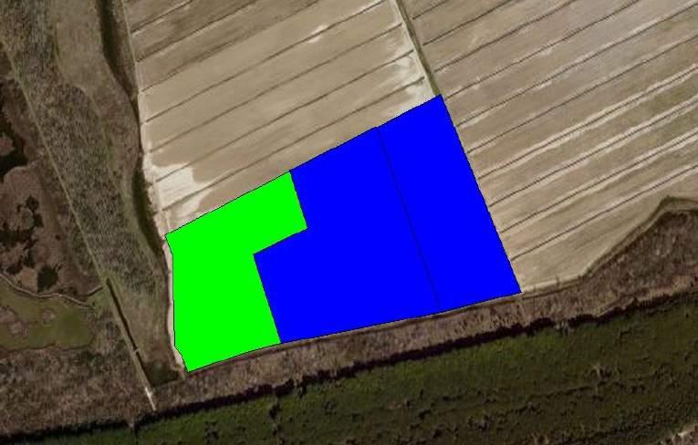 Produzione Fumonisina B1 e B2 ANNO 2014 TERRENO t/ha μg/kg IRRIGATO 15,6 2710 MIS/S NON IRRIGATO 12,9 4590 Differenza (%) +21,0-41,0