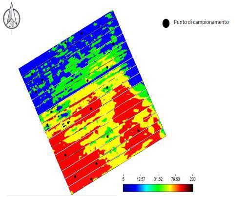 Raccolta dati: Campionamento suolo Punti di campionamento e analisi del suolo 20 punti di campionamento da analisi ARP (3 profondità: 0-10cm; 10-30cm; 30-60cm) Ottimizzazione del numero di punti di
