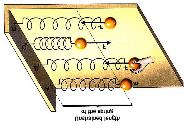 Il moto armonico Un sistema meccanico in grado di oscillare è costituito da una massa che, deviata dallo stato di equilibrio viene fatta tornare alla posizione originale mediante una forza di
