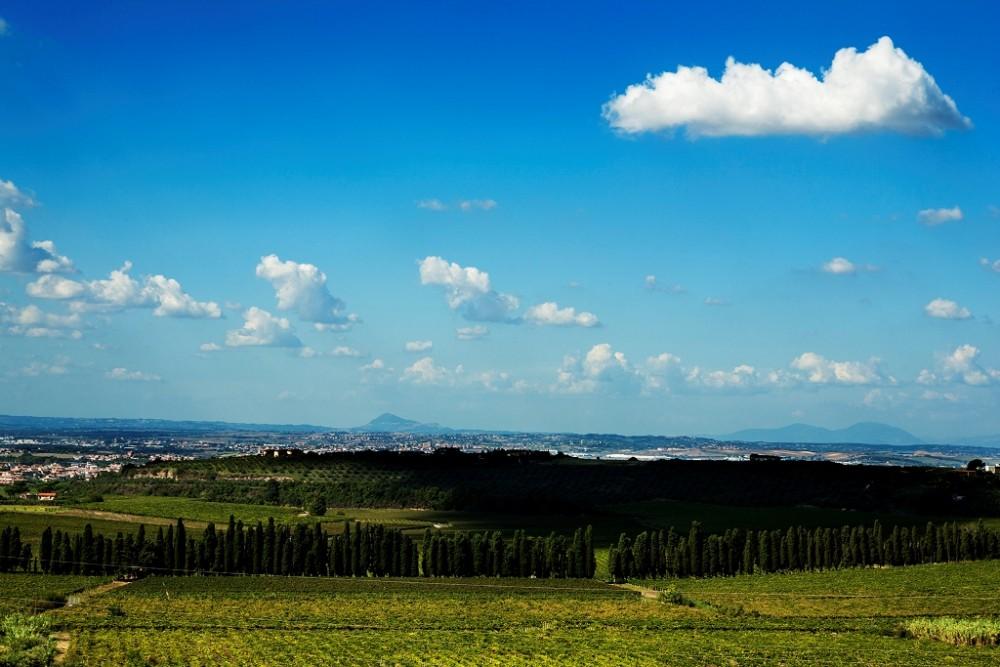 Merumalia, vista terrazza Dalla terrazza panoramica, che si erge sul Lago Regillo, si possono ammirare i vigneti Frascati DOCG e le colline