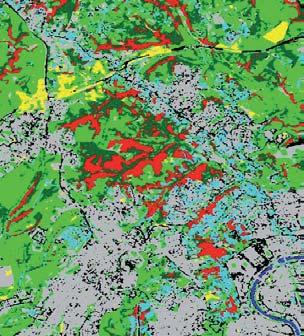 Nel particolare dell immagine Ikonos 2005, riportata in Figura 3, sono mostrate, in giallo, le aree rimaste sughereta, mentre, in rosso, le aree boschive perdute per le cause sopra menzionate.
