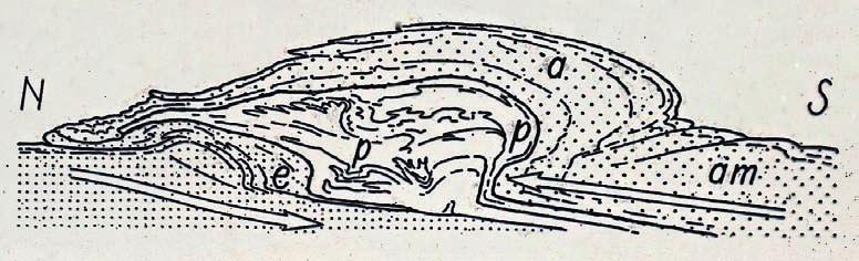 Fig. 9 - Sezione geologica in senso meridiano attraverso le Alpi, interpretazione strutturale estremamente moderna e precorritrice intuita da Argand nel 1916.
