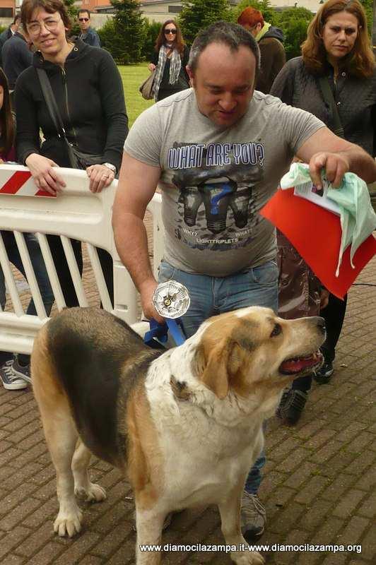 -Terzo premio è andato all indifferente e più cialtrone cane del sud ovest milanese, anche lui bianco e